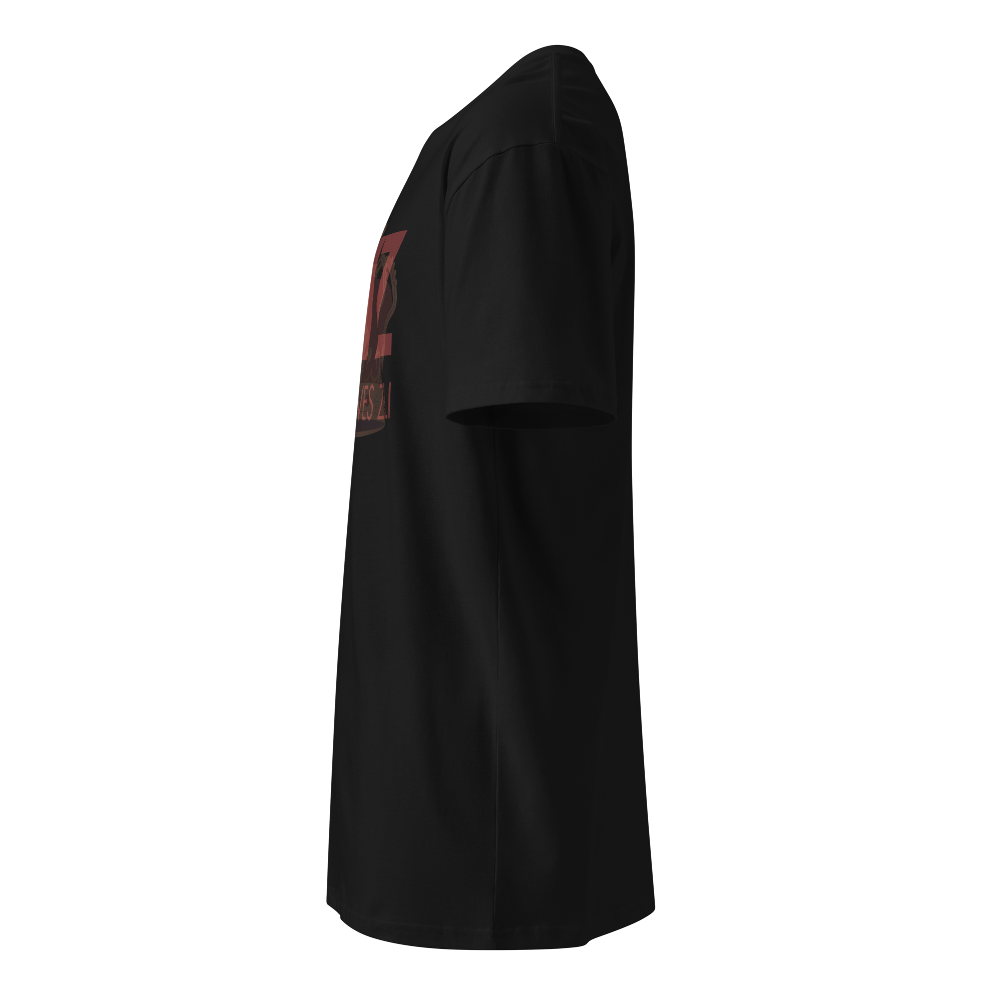 XYZ for Xan Yves Zili