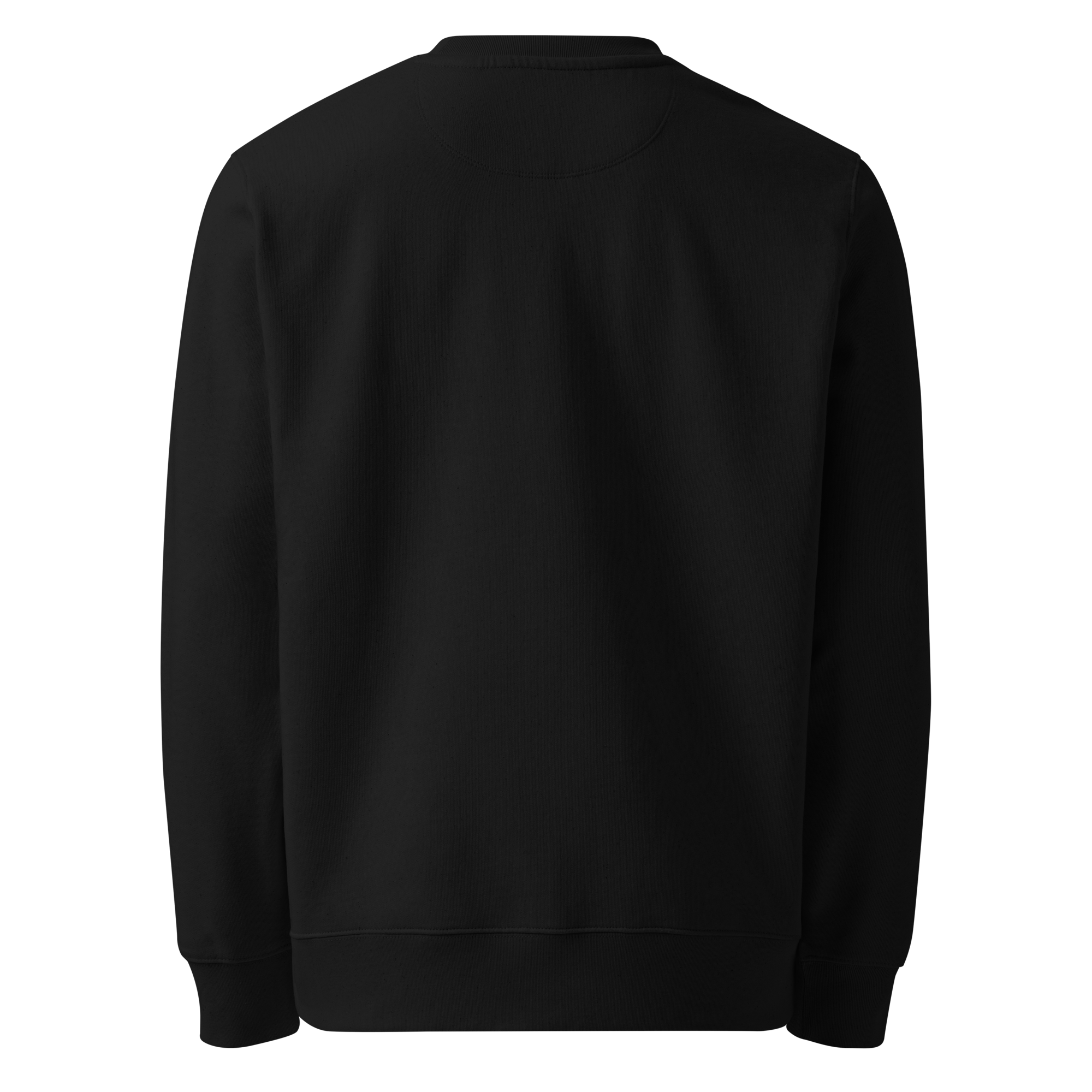 Xan Yves Zili's "StealthClass" Essential Eco Embroidered sweatshirt