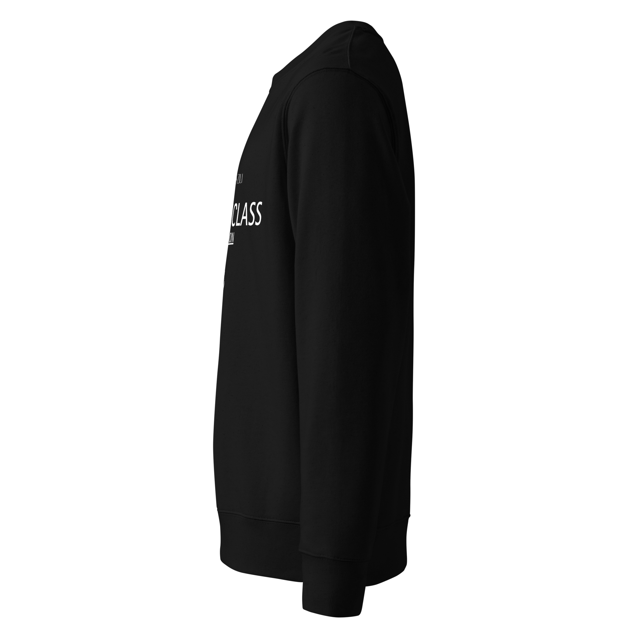 Xan Yves Zili's "StealthClass" Essential Eco Embroidered sweatshirt